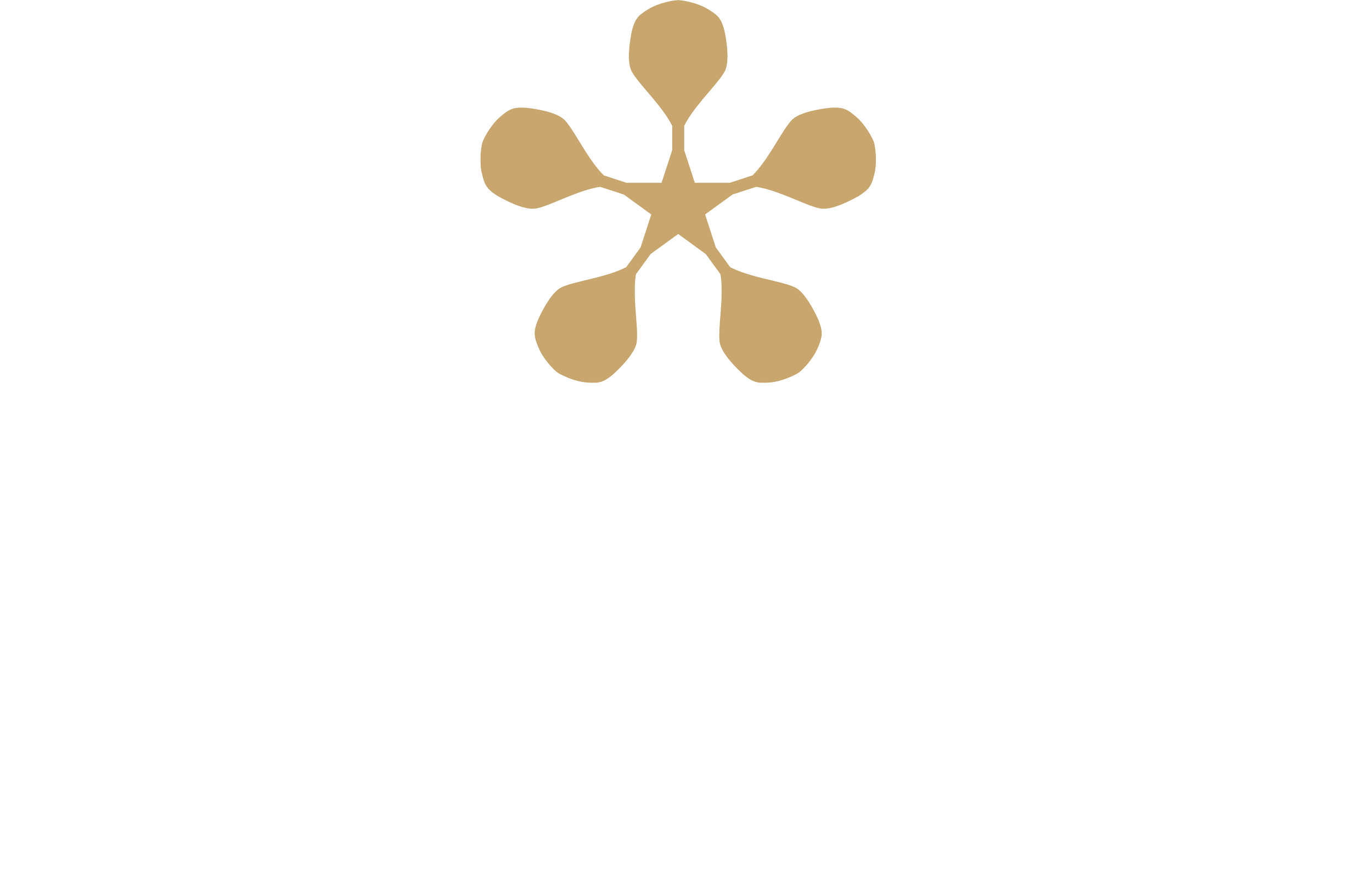 Imagen de el logo de Premier